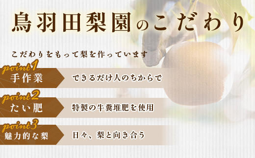 351 豊水梨 約1.5kg 3玉 4L以上 大玉 梨 なし 【先行予約 2024年 8月下旬ころより順次発送予定】