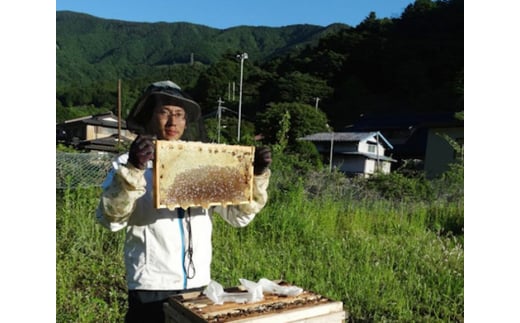 道志村産　森のはちみつ（130g×2本） ふるさと納税 はちみつ ハチミツ 蜂蜜 ハニー パン 食パン 山梨県 道志村 送料無料 DSD001