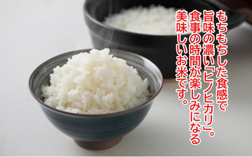 農林水産省の「つなぐ棚田遺産」に選ばれた棚田で育てられた 棚田米土佐天空の郷　2kg食べくらべセット定期便  毎月お届け 全3回