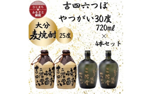 大分むぎ焼酎　二階堂吉四六つぼ25度2本とやつがい30度2本(720ml)4本セット【1455794】