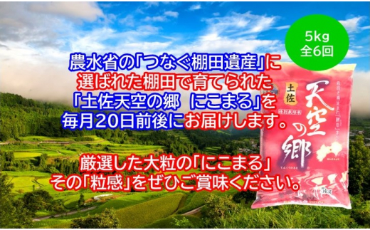 2010年・2016年 お米日本一コンテスト inしずおか 特別最高金賞受賞土佐天空の郷　にこまる　5kg　毎月お届け全6回