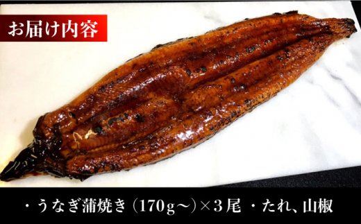 うなぎ蒲焼き(170g×3尾) 長崎県/ダイニング味遊 [42ACAG034]