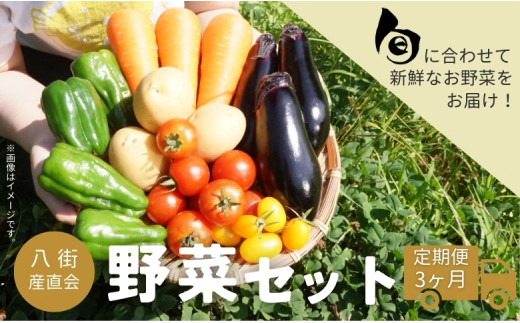 ［旬野菜の定期便3ヶ月］八街産直会 こだわり の 旬 野菜セット 6～7品 野菜 野菜詰め合わせ 八街市 千葉県 産地直送 秋冬野菜  3か月定期便 野菜定期 野菜定期便