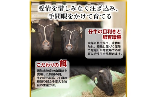 【神戸牛 牝】【７営業日以内に発送】モモ肩すき焼き・しゃぶしゃぶ用:１ｋｇ 川岸畜産 (43-3) 