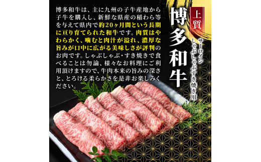 厳選部位 博多和牛サーロインしゃぶしゃぶすき焼き用(計1kg・500g×2P)牛肉 黒毛和牛 国産 焼き肉 BBQ 化粧箱 贈答 ギフト プレゼント ＜離島配送不可＞【ksg1402】【MEATPLUS】