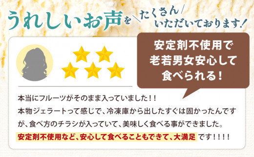 A39 近江の果実ごろごろジェラート （6個セット） かなめカフェ 【 アイス アイスクリーム ジェラート 人気 滋賀 ランキング アイスキャンディー セット スイーツ お菓子 洋菓子 デザート デザートカップ デザート詰め合わせ デザートアイス 詰合せ 詰め合わせ 】