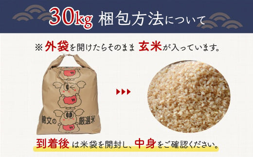 【新米】令和6年産 千葉県産エコ米「コシヒカリ」玄米30kg（30kg×1袋） ふるさと納税 玄米 30kg 千葉県産 大網白里市 コシヒカリ エコ米 米 こめ 送料無料