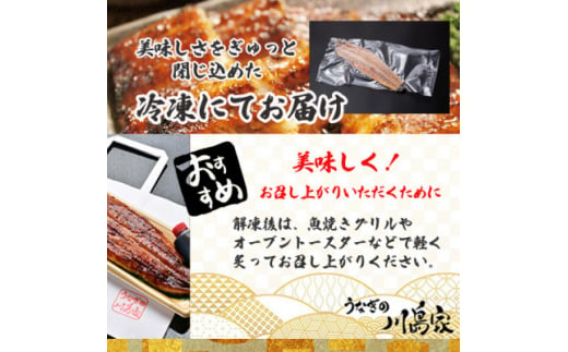 ＜冷凍2尾＞岬町自慢の味　うなぎの川島家　国産うなぎ蒲焼　大サイズ(211g～225g)特製タレ付き【1488340】