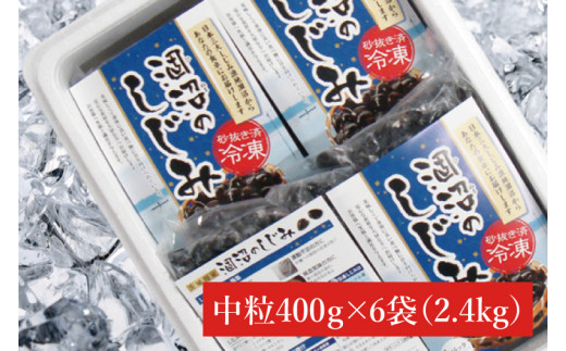 涸沼のプリップリ中粒冷凍しじみ（砂抜き済）【蜆 シジミ 10000円以内 クール すなぬき 味噌汁 栄養 貝汁 贈り物 ギフト 水戸市】（BJ-1）