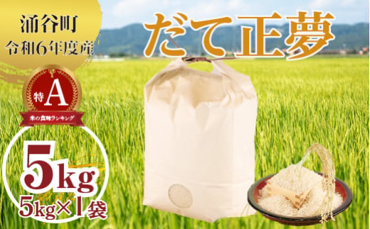 (株)シブヤ 令和6年度産だて正夢5kg×1袋