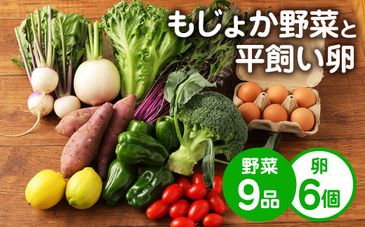 もじょか 野菜 と 平飼い 卵 セット (野菜9品、卵6個) 水俣市