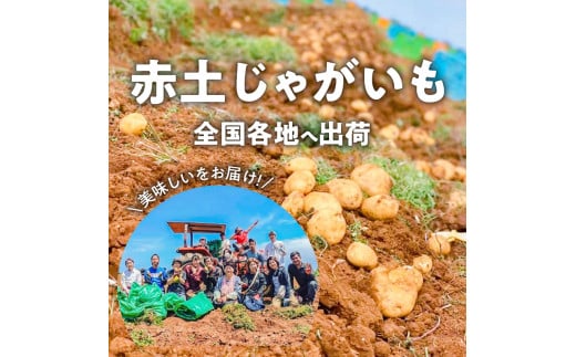 【2025年先行予約】皆村農園のホクホク!ほりたて！春の新じゃがいも10kg【1月下旬～4月下旬】　W035-001