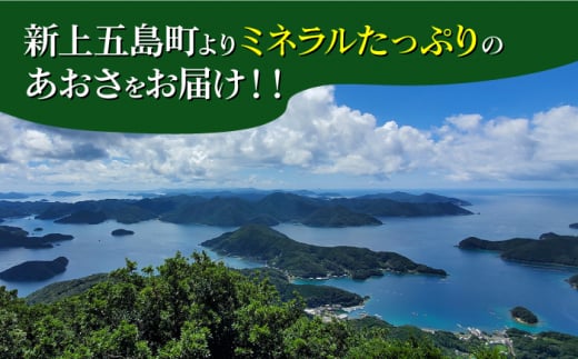 【全6回定期便】 冷凍 生あおさ 50g×10袋 計500g / 海藻 ヒトエグサ 海産物 上五島