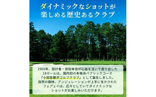 小田急藤沢GC 平日プレー 招待券2枚 (食事・お土産付) ゴルフ プレー券 券 チケット ギフト券 ゴルフ券 お食事券 ゴルフ場利用券 施設利用券 ギフト 贈り物 贈答 ゴルフ倶楽部 関東 平日 綾瀬市