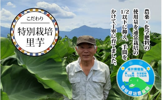 【皮むき不要】減農薬・減化学肥料の特別栽培里芋 上庄里芋 冷凍 洗い子 2kg（500g×4袋）【10月～年内出荷】