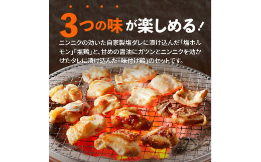 中尾商店の焼肉セット N001-YZA153