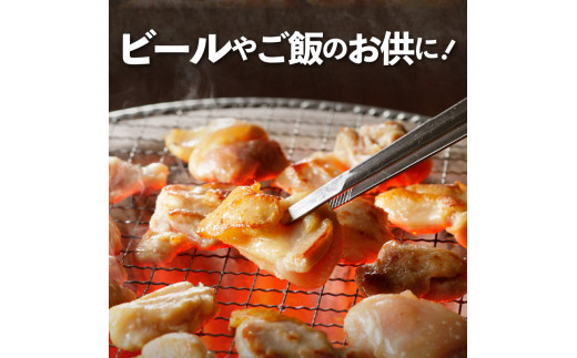 中尾商店の焼肉セット N001-YZA153