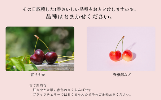 「紅さやか」のみ濃い赤色の果皮をしています。予めご承知おきください。