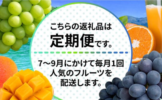 【2025年7月〜発送！】【3回 定期便 】マンゴー ＆ シャインマスカット ＆ ぶどう & せとか 100% ストレートジュース の豪華セット / まんごー ブドウ 葡萄 しゃいんますかっと フルーツ 果物 じゅーす オレンジ みかん / 南島原市 / 松川農園 [SAX007]