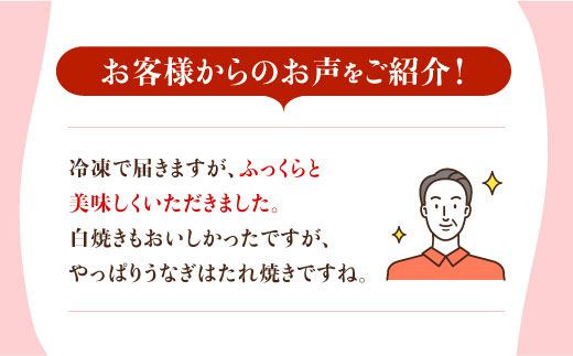 お店と変わらない味！？ふっくらジューシーのこだわりうなぎ【12回定期便】国産うなぎ蒲焼・白焼3枚セット（うなぎ蒲焼2枚・白焼1枚）【丸安】 [FAD005]