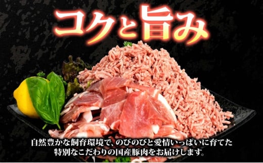 豚 小間切 ひき肉 計2kg 各5パック×200g 肉 豚肉 豚小間 豚こま ひき肉 豚ひき肉 ミンチ 国産 焼きそば 野菜炒め ハンバーグ 餃子 便利 小分け 茨城県 結城市 [№5802-0501]