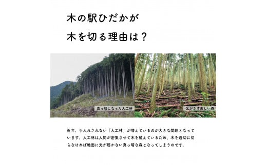 乾燥薪 針葉樹薪（スギ・ヒノキ） キャンプ アウトドア 焚き火 BBQ 高知県産 杉 薪 国産