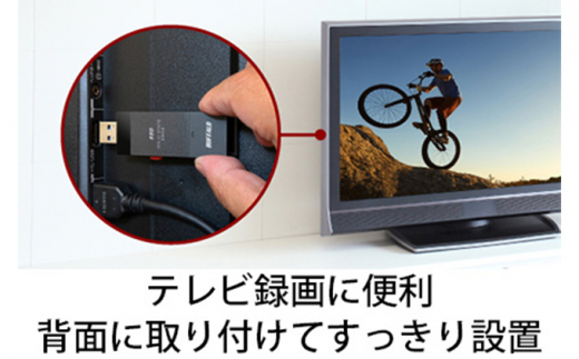 BUFFALO バッファロー スティック型 SSD 250GB 抗ウイルス・抗菌 テレビ 録画 USB 電化製品 家電 パソコン PC周辺機器 パソコン周辺機器 [№5229-0536]