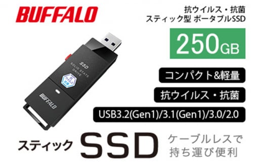 BUFFALO バッファロー スティック型 SSD 250GB 抗ウイルス・抗菌 テレビ 録画 USB 電化製品 家電 パソコン PC周辺機器 パソコン周辺機器 [№5229-0536]