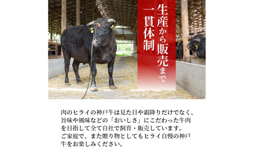 ★選べる配送月★[12月発送]神戸牛サーロインステーキ(200g×3枚)《 肉 牛肉 牛 神戸牛 国産牛  サーロイン ステーキ 》【2407A00117-00】