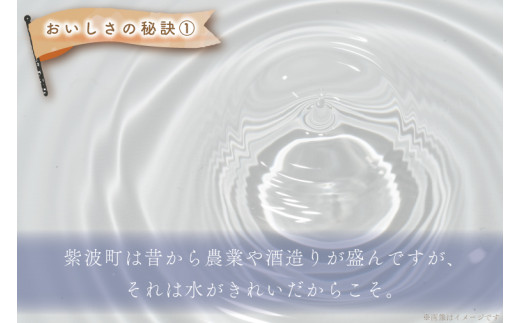 ★令和6年産★【12回定期便】特A受賞　銀河のしずく5kg　岩手県紫波町産 (AD038)