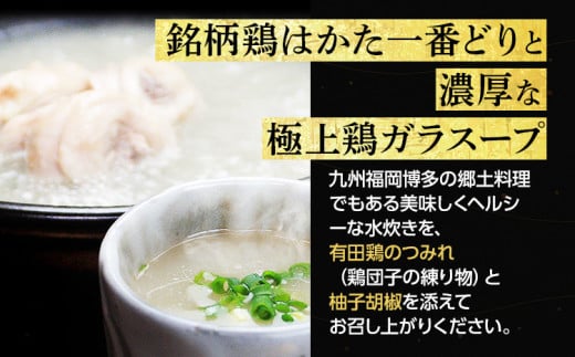 博多水炊き（はかた一番どり切り身・つみれ）セット 2～3人前 お取り寄せグルメ お取り寄せ 福岡 お土産 九州 福岡土産 取り寄せ グルメ 福岡県