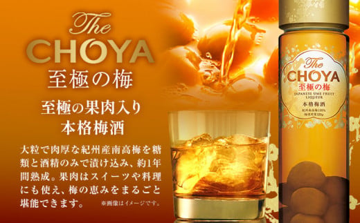 THE CHOYA CRAFT FRUIT 700ml 至極の梅 650ml 計2本 セット 飲み比べ 羽曳野商工振興株式会社《60日以内に出荷予定(土日祝除く)》大阪府 羽曳野市 送料無料 梅酒 梅 酒 CHOYA チョーヤ チョーヤ梅酒 お酒 クラフトフルーツ クラフト 至極の梅