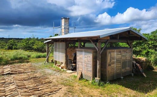 指描８寸皿緑釉・あめ釉1枚【神谷窯】 沖縄 おきなわ やちむん 焼き物 食器 大皿 皿 さら プレート 大宜味村 盛皿 カレー皿 パスタ皿 陶器 1枚 ８寸皿 工芸品 贈り物 2万円台 和食器