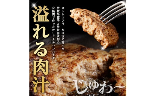 【2024年11月以降発送分】肉汁が溢れ出る 放牧牛放牧豚のハンバーグ【er008-007】