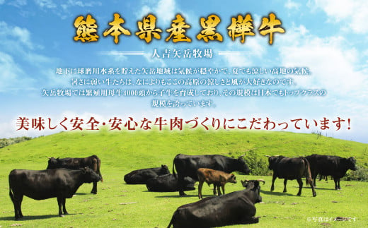 くまもと黒毛和牛 杉本本店 黒樺牛 A4～A5等級 すき焼き用スライス盛合わせセット 計650g タレ1本