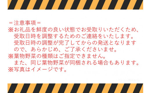 140J.氷温熟成舞茸『鳥取の宝』としいたけ･採れたて野菜セット〔定期便〕