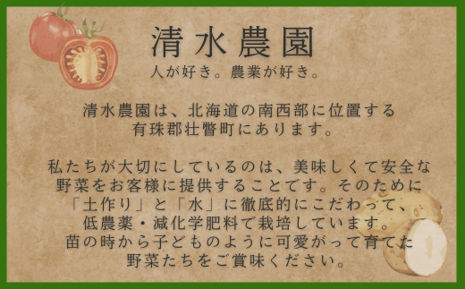 ＜2025年9月初旬よりお届け＞【農園直送】北海道壮瞥町産 清水農園の野菜2種セット（じゃがいも・玉ねぎ）計約10kg 【 ふるさと納税 人気 おすすめ ランキング じゃがいも ジャガイモ 玉葱 玉ねぎ たまねぎ タマネギ 野菜 甘い セット 北海道 壮瞥町 送料無料 】 SBTO010