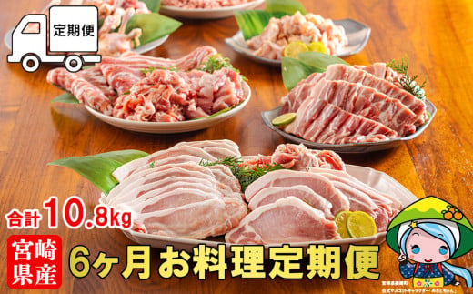 【4月発送】6回 定期便 豚 鶏肉 小分け お料理 セット 計10.8kg [甲斐精肉店 宮崎県 美郷町 31as0066-4gatsu] 肉 毎月 お届け 冷凍 宮崎県産 国産 若鶏 鳥 切落し ロース 生姜焼き とんかつ ひき肉 ミンチ もも カット バラ スライス 薄切り カレー