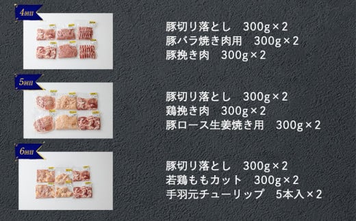 【4月発送】6回 定期便 豚 鶏肉 小分け お料理 セット 計10.8kg [甲斐精肉店 宮崎県 美郷町 31as0066-4gatsu] 肉 毎月 お届け 冷凍 宮崎県産 国産 若鶏 鳥 切落し ロース 生姜焼き とんかつ ひき肉 ミンチ もも カット バラ スライス 薄切り カレー