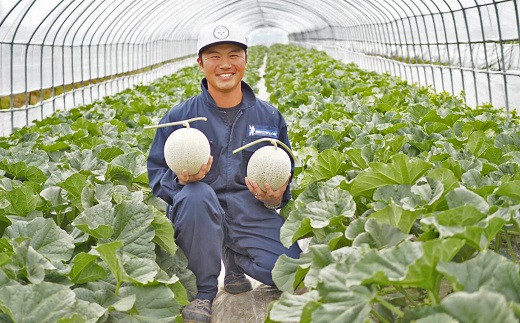 【鈴和産】遠藤ファームの中富良野メロン　8kg（4～6玉）