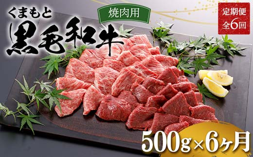 FKP9-554 【6カ月定期便】くまもと黒毛和牛 焼肉用 500g