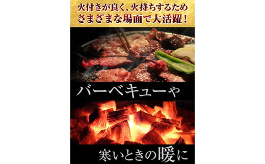 【九戸産】切炭 6kgパック×3《30日以内に出荷予定(土日祝除く)》 木炭  箱入り 岩手木炭 キャンプ バーベキュー BBQ 消臭 火鉢 囲炉裏 炭  国産木炭 川遊び ロッジ レジャー 行楽 安全 安心