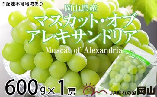 ぶどう 2024年 先行予約 マスカット ・オブ・アレキサンドリア 約600g×1房 6月下旬～7月下旬発送分 ブドウ 葡萄  岡山県産 国産 フルーツ 果物 ギフト