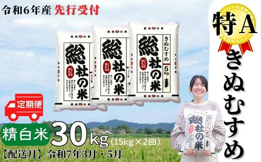 【令和6年産米】特Aきぬむすめ【精白米】30kg 定期便（15kg×2回）岡山県総社市産〔令和7年3月・5月配送〕24-030-006