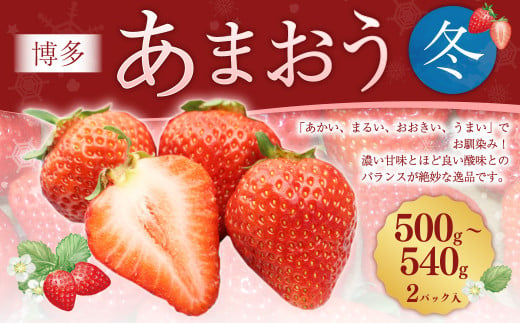 博多あまおう2パック（冬） 250g～270g×2パック【2024年12月上旬-2025年1月下旬発送予定】