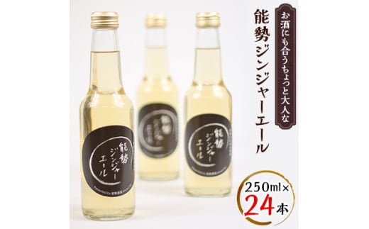 お酒にも合うちょっと大人な「能勢ジンジャーエール」250ml×24本【1258638】