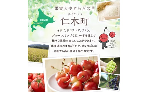 数量限定 北海道 仁木町産 果肉がプリ しっかり大粒 甘い さくらんぼ 紅秀峰 600g 鶴田農園