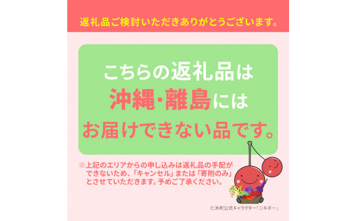 数量限定 北海道 仁木町産 果肉がプリ しっかり大粒 甘い さくらんぼ 紅秀峰 600g 鶴田農園