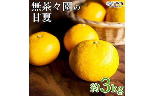 ＜無茶々園の甘夏 約3kg＞ 果物 あまなつ みかん ミカン 蜜柑 柑橘 フルーツ 期間限定 季節限定 食べて応援 特産品 愛媛県 西予市 【常温】