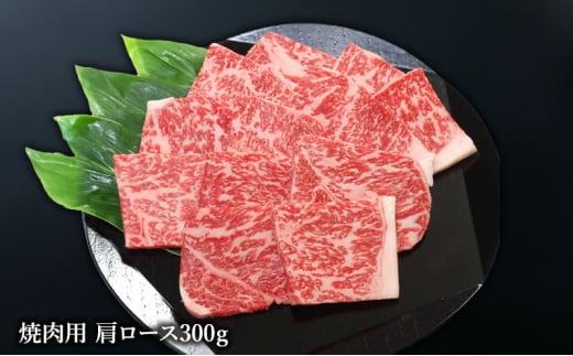 【神戸牛】 神戸ビーフ焼肉食べ比べセット900g〔牛肉 国産牛 ブランド和牛 和牛 お肉 肉 霜降り ロース モモ バラ 焼肉 高級 お祝い ギフト 贈答品〕 